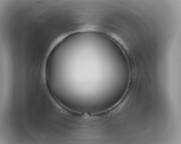 X0000111501469200907211020