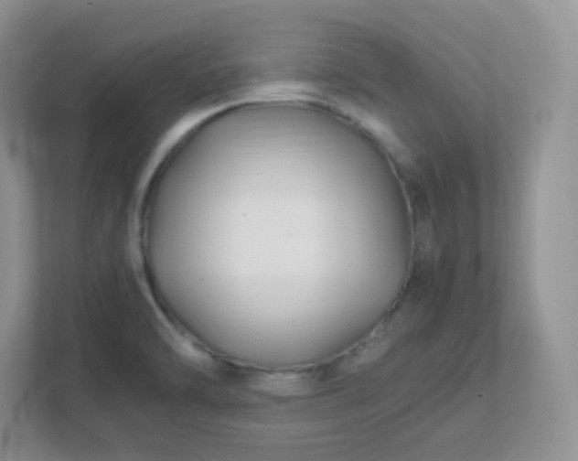 X0000111501470200907211020