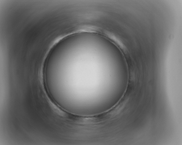 X0000111501471200907211020