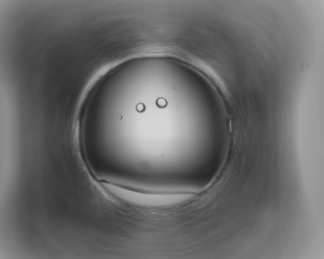 X0000111501472200907211020