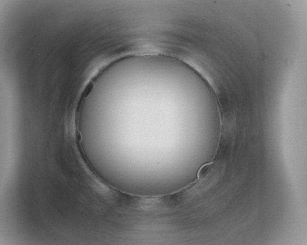 X0000111501477200907211020