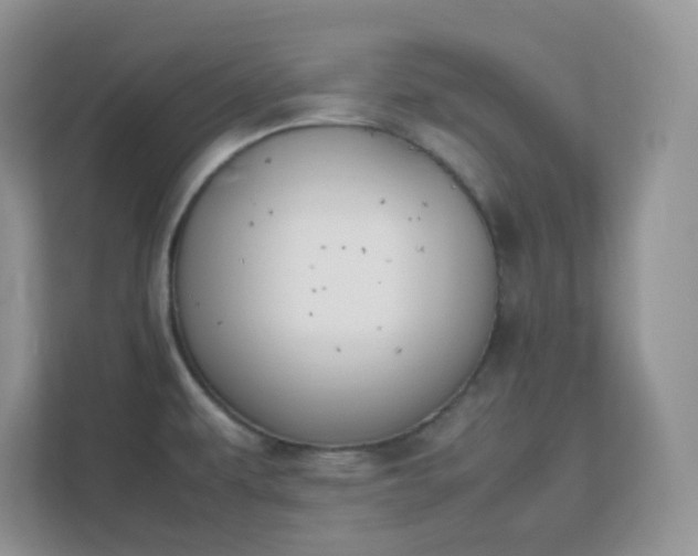 X0000111501479200907211020