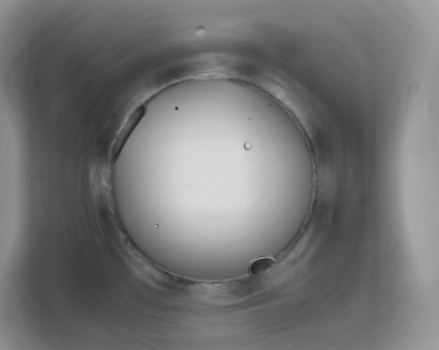 X0000111501481200907211020