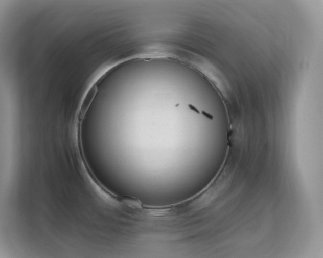 X0000111501484200907211020