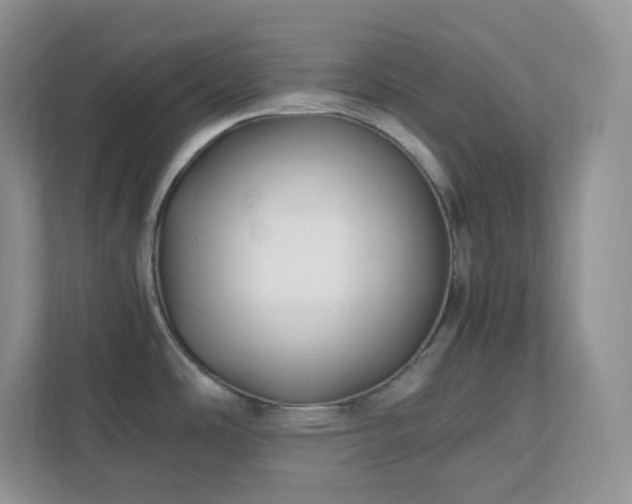 X0000111501486200907211020