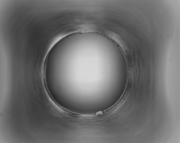 X0000111501487200907211020