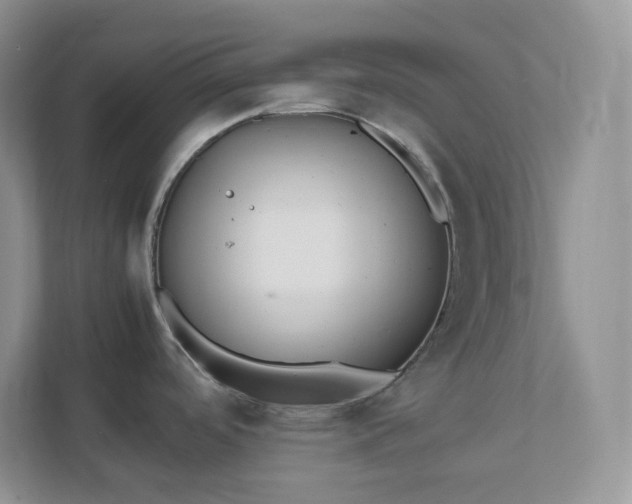X0000111501488200907211020