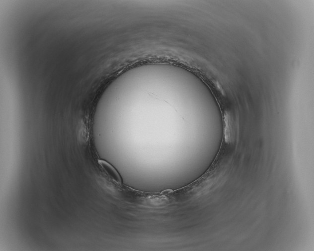 X0000111501491200907211019