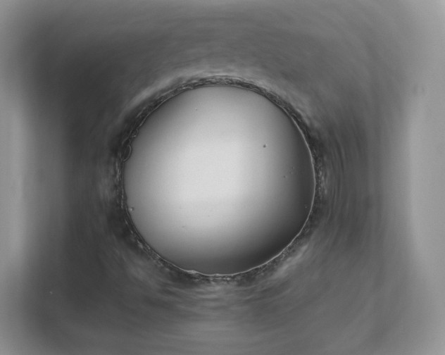 X0000111501494200907211019