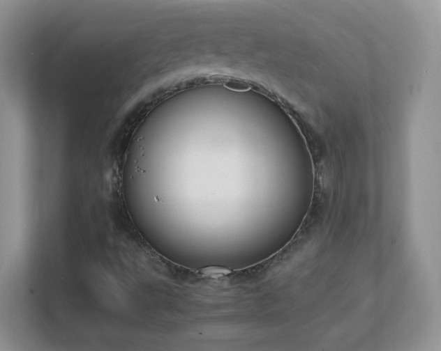 X0000111501495200907211019