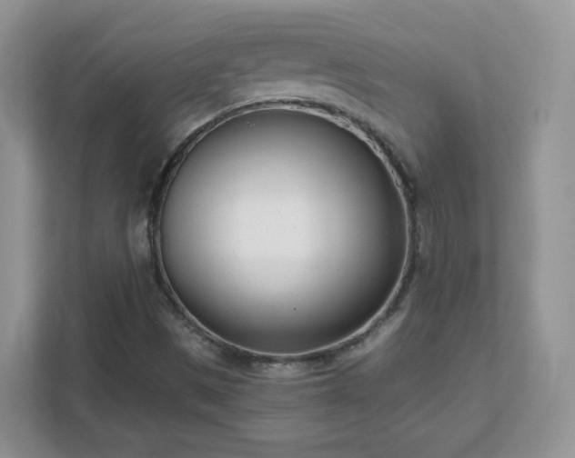 X0000111501497200907211019