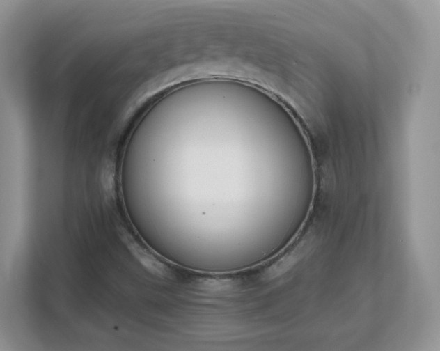 X0000111501499200907211019