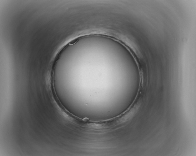 X0000111501500200907211019