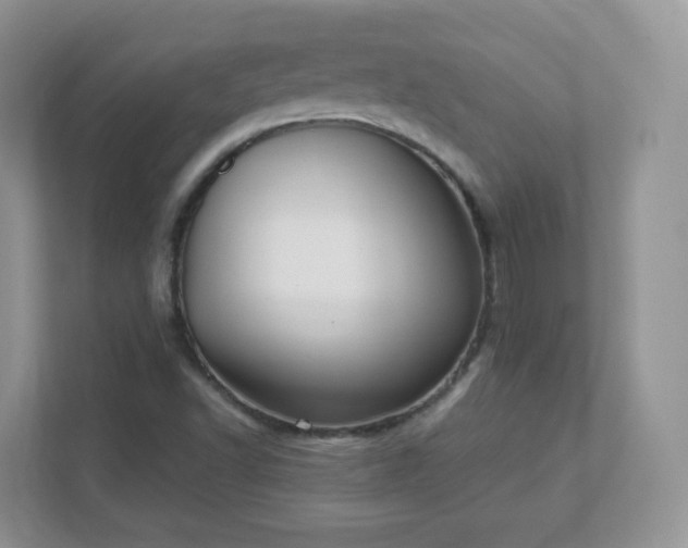 X0000111501502200907211019