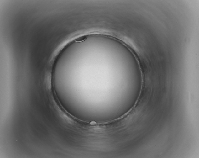 X0000111501504200907211019