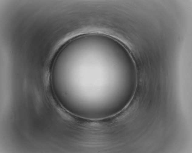 X0000111501507200907211019