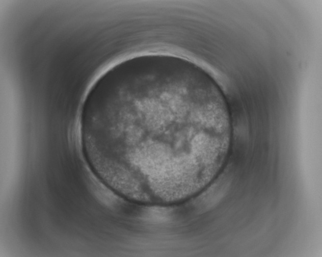 X0000111501514200907211020