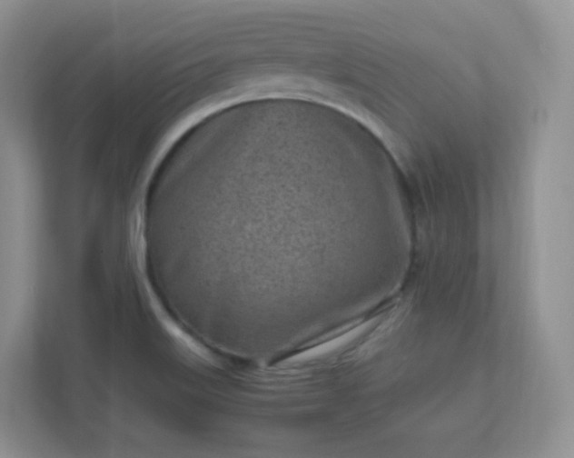 X0000111501515200907211020