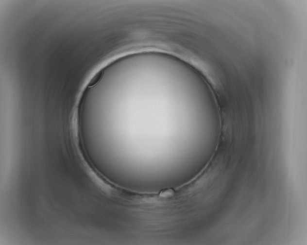 X0000111501516200907211020