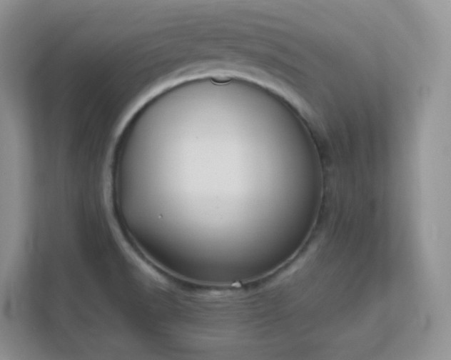 X0000111501518200907211020