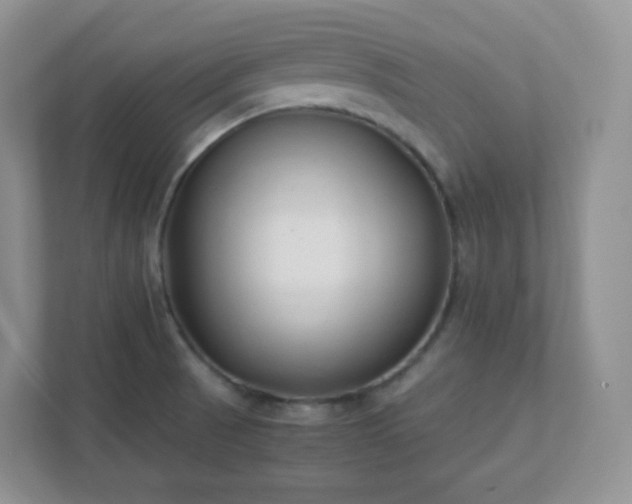 X0000111501521200907211020