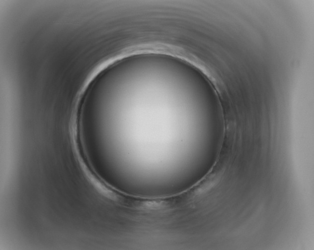 X0000111501523200907211020
