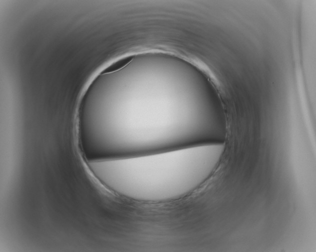 X0000111501524200907211020