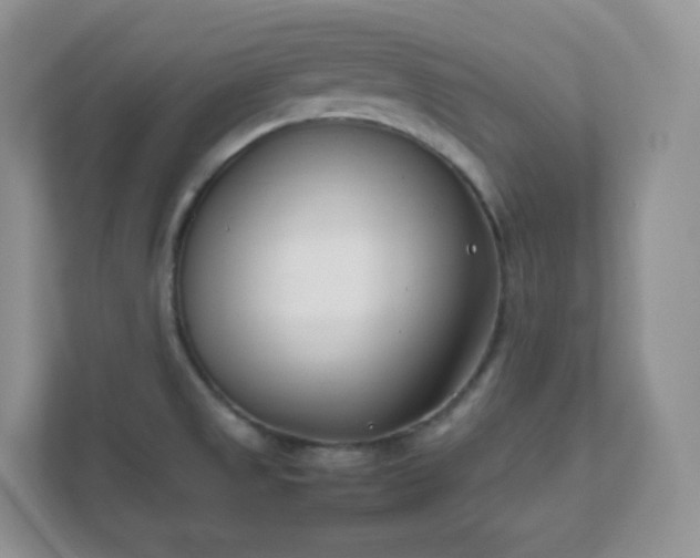 X0000111501525200907211020
