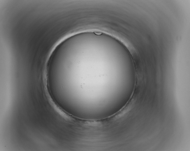 X0000111501526200907211020