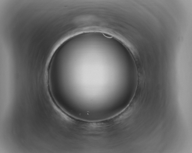X0000111501527200907211020