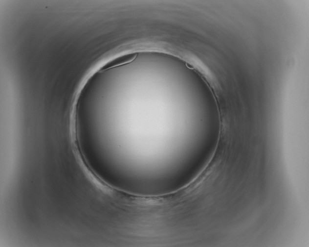 X0000111501528200907211020