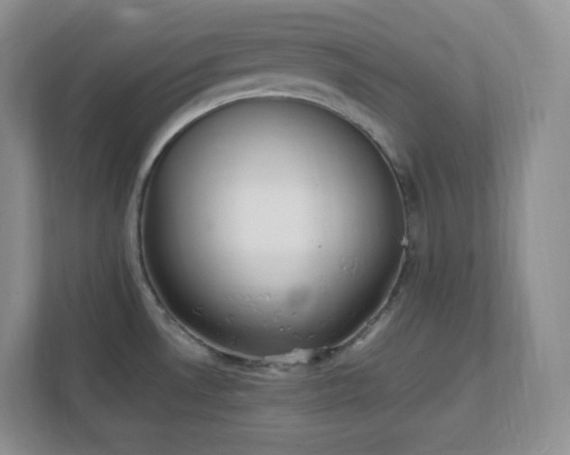 X0000111501530200907211020