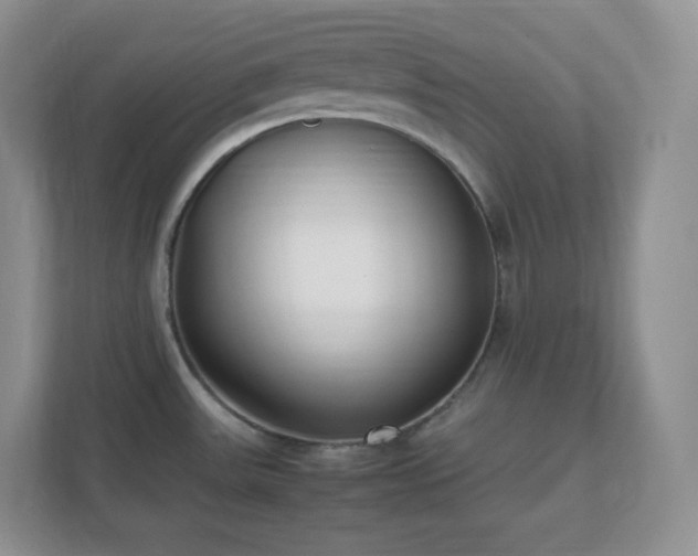 X0000111501531200907211020