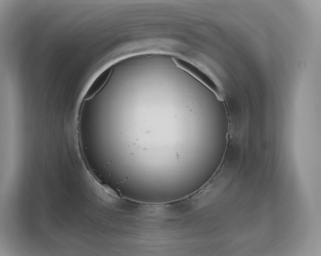 X0000111501532200907211020