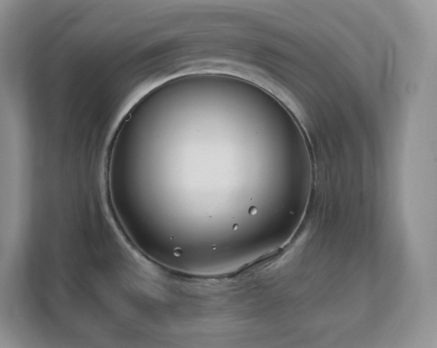 X0000111501533200907211020