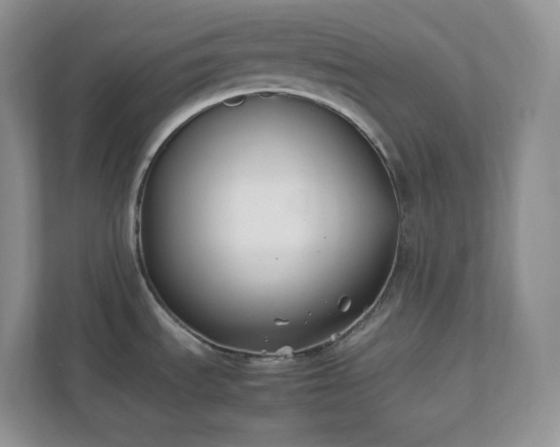 X0000111501535200907211020