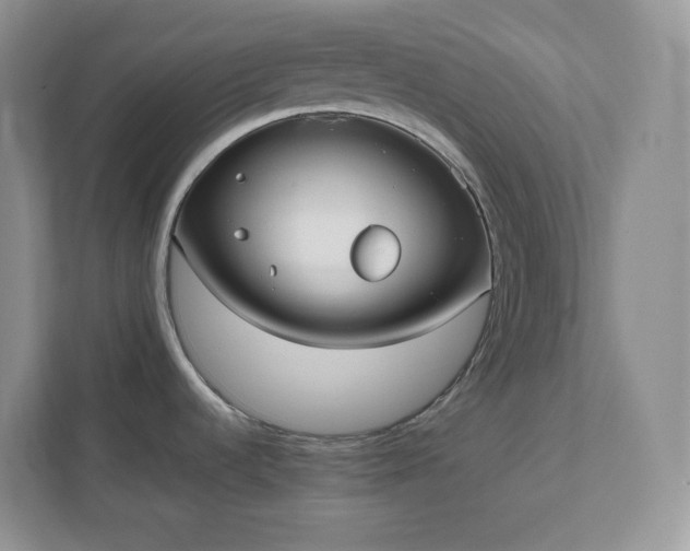 X0000111501536200907211020