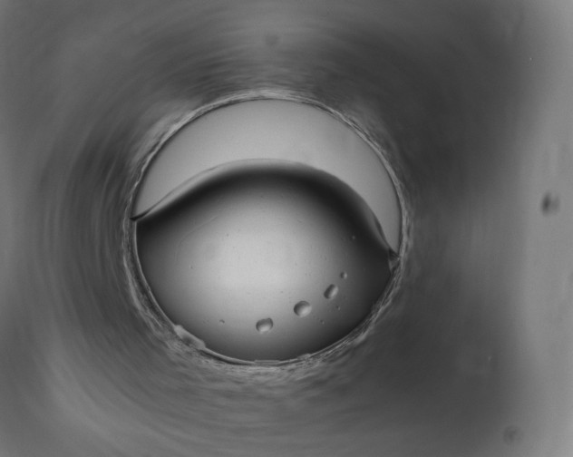 X0000111500001200907281302