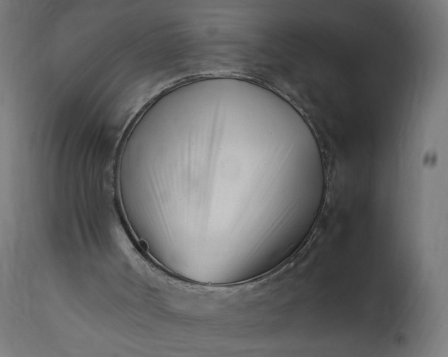 X0000111500002200907281302