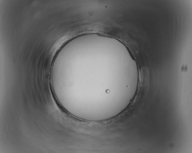 X0000111500003200907281302