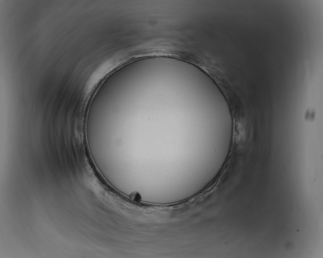 X0000111500004200907281302