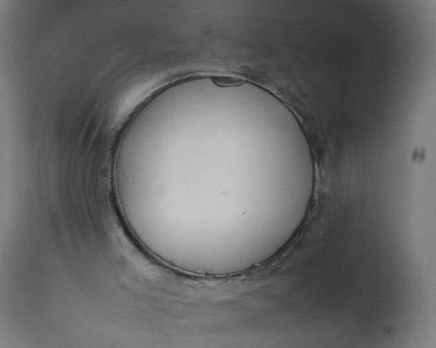 X0000111500005200907281302