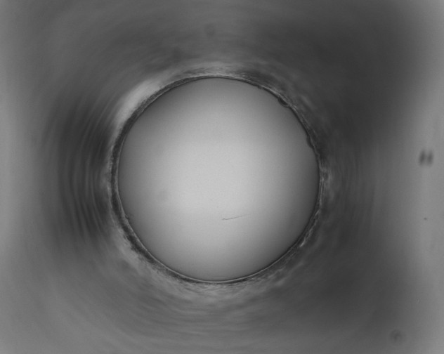 X0000111500006200907281302