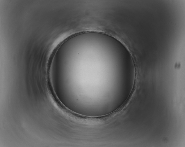 X0000111500008200907281302