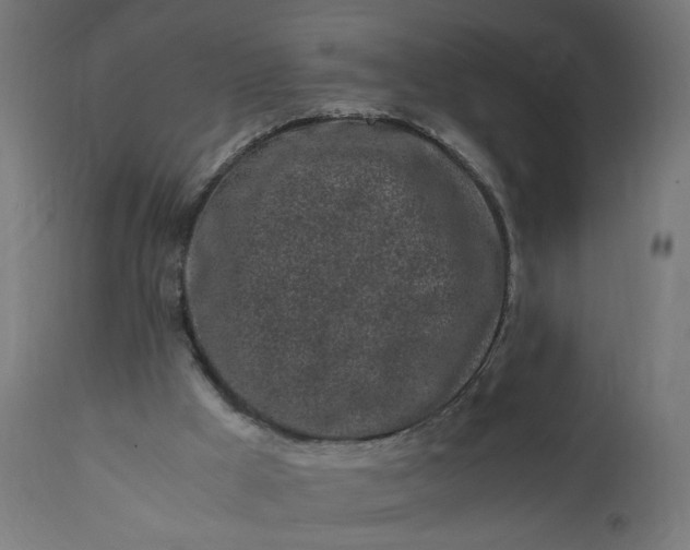 X0000111500009200907281302