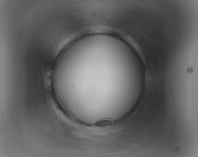 X0000111500010200907281302