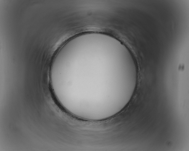 X0000111500011200907281302