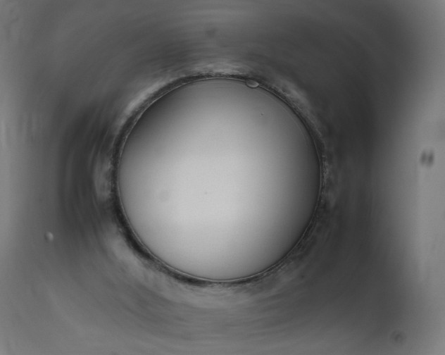 X0000111500012200907281302