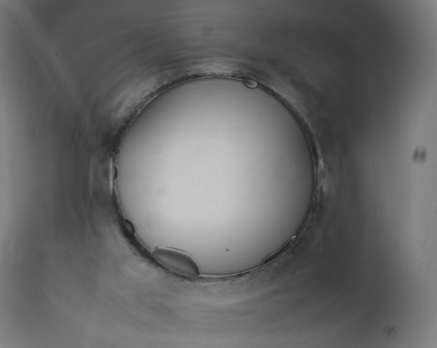 X0000111500013200907281302