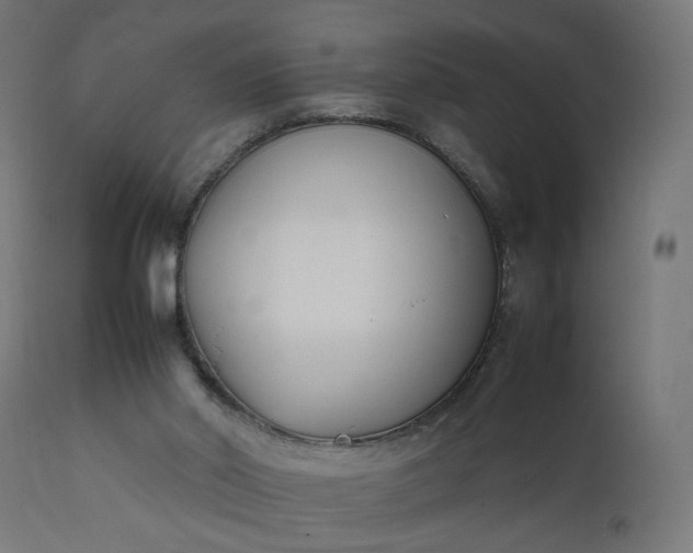 X0000111500014200907281302